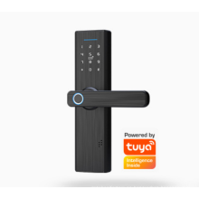 Absolutamente sorprendente operación automática de la aplicación Tuya y la contraseña de huellas digitales eléctrica Ttlock Caída de puerta digital inteligente